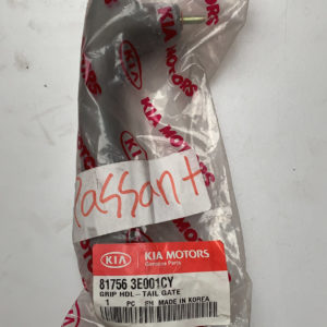 GRIP ASSY-T/GATE TRIM