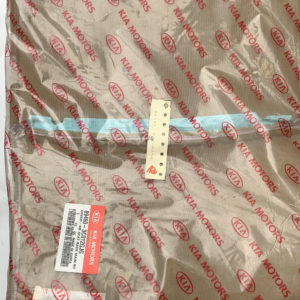 COVER'G ASSY-RR SEAT BACK