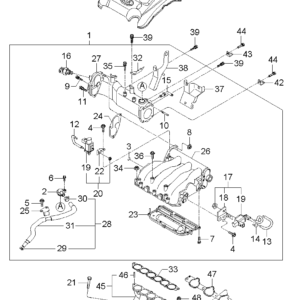 GASKET-SURGE TANK (b1)