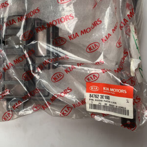 PNL AUDIO FACIA LWR (b2)