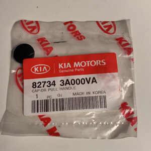 CAP-DR PULL HANDLE (b1)