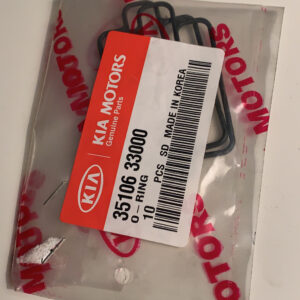 PACKING-FAST IDLE A (b1)