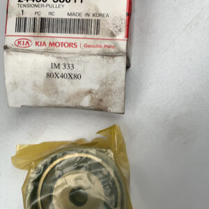 TENSIONER-PULLEY (b4)