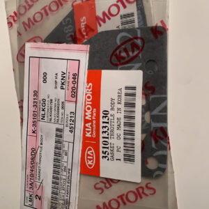 GASKET TROTTLE BODY (b1)