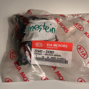 GASKET-HEAD COVER (b1)