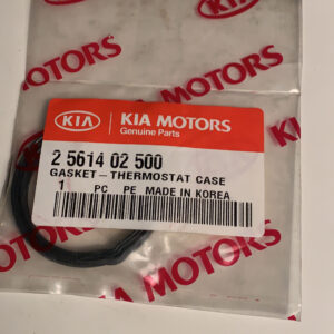 2561402500 - GASKET THERM. CASE (b1)