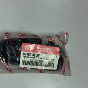 HINGE ASSY-T/G GLASS RH