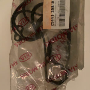 2244139810 - GASKET-HEAD COVER 'A' (b1)