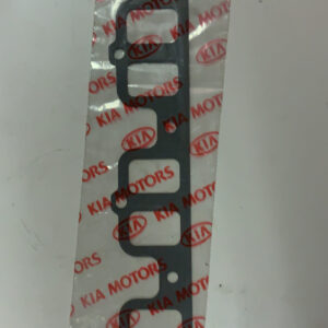 GASKET-INT.MANI. (B1)