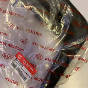 868423E010 - GUARD ASSY RR MUD RH