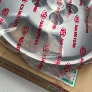 CAP ASSY STEEL WHEEL HUB