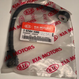 SENSOR ASSY-KNOCK.RH (b9)