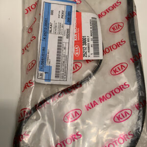 Riem ribbed 2521238001 5pk1110