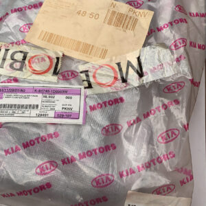 PANEL ASSY-CLUSTER FACIA