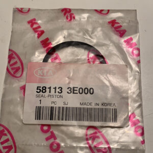 SEAL-PISTON (b10)