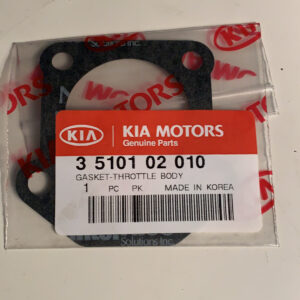 GASKET-THROTTLE BODY (b1)