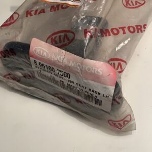 STRIKER ASSY-RR SEAT BACK (b15)