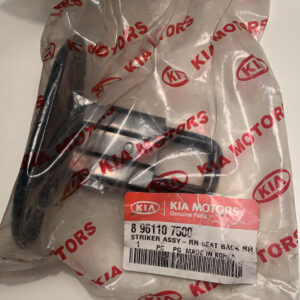 STRIKER ASSY-RR SEAT BACK (b15)