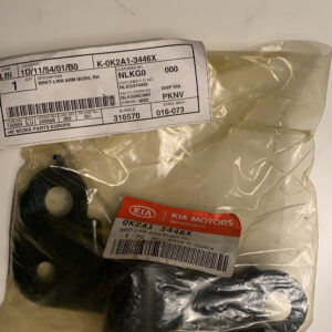 BUSH LWR ARM RR RH (b15)