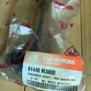 CHECKER ASSY RR DR RH (b4)