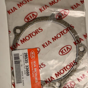 GASKET-CATALYST CASE (b1)